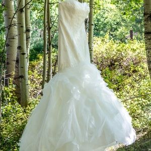 PRONOVIAS DUENDE WEDDING DRESS & MATCHING VEIL